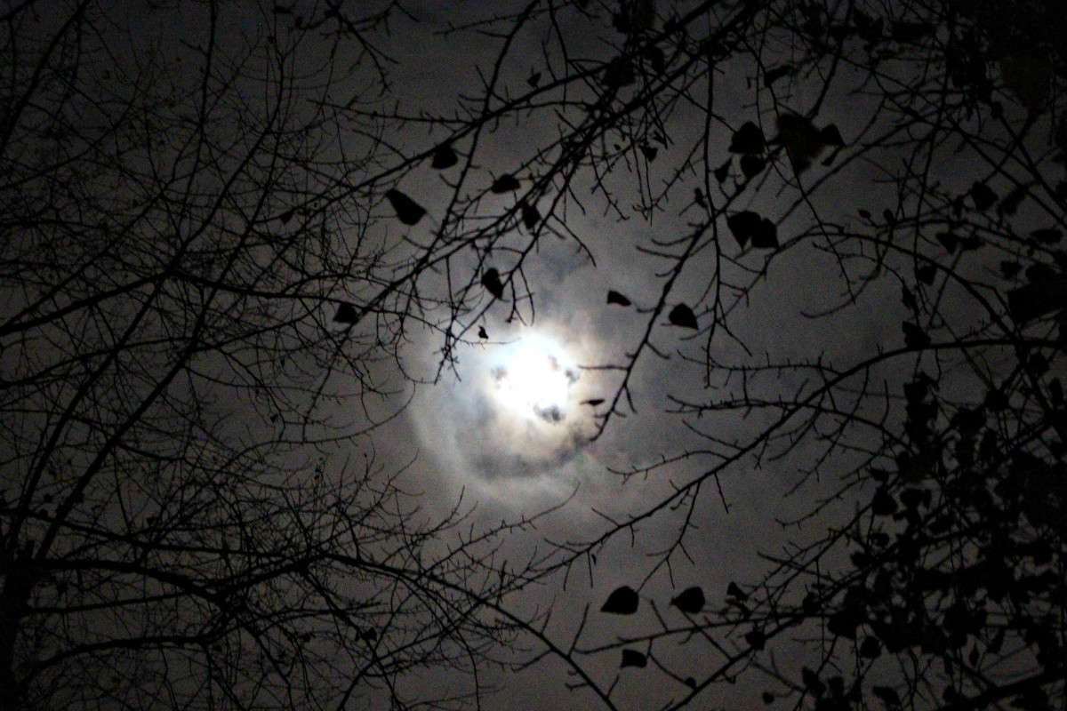 Night ����� Tatiana  �� PhotoGeek.ru #����� #������ ��� ������� #������