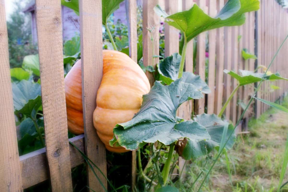 ����� �� �������. ����� ������� ������������ �� PhotoGeek.ru #��������� #���������������