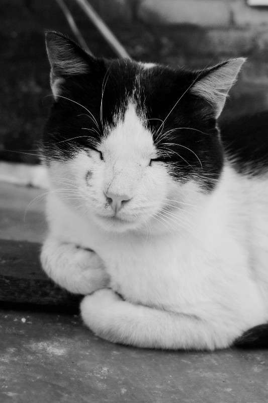 ����������. ����� ������� ������������ �� PhotoGeek.ru #�������� ��� #������� #������ #�����-�����