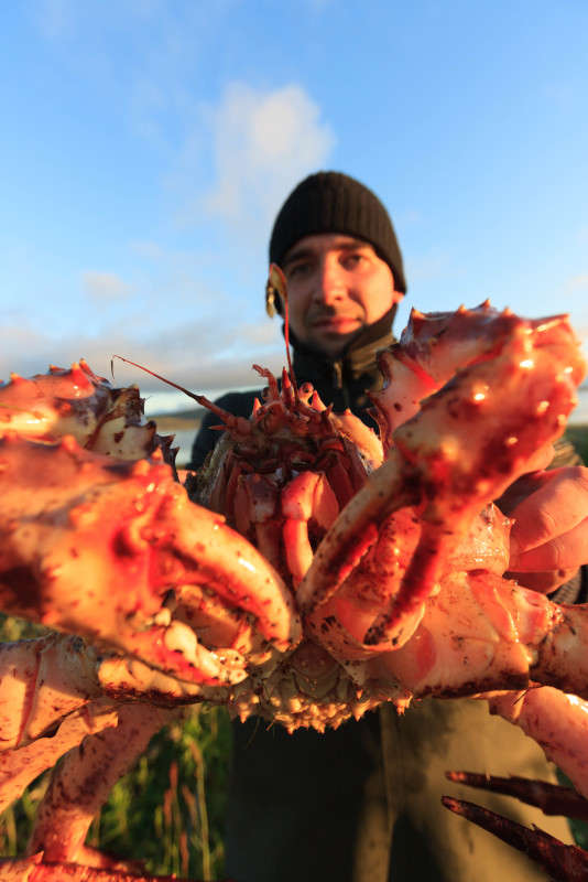 ����� � ������ ����� ���������  �� PhotoGeek.ru #�������