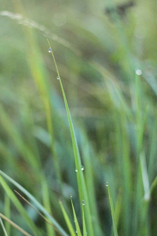 ... ����� �������� ����� �� PhotoGeek.ru #������ ��� �������