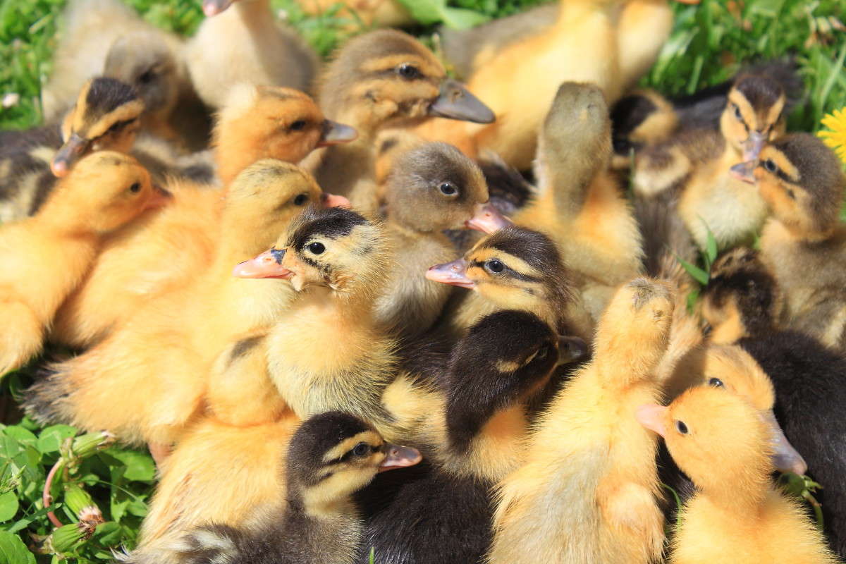 ... ����� �������� ����� �� PhotoGeek.ru #�������� ���