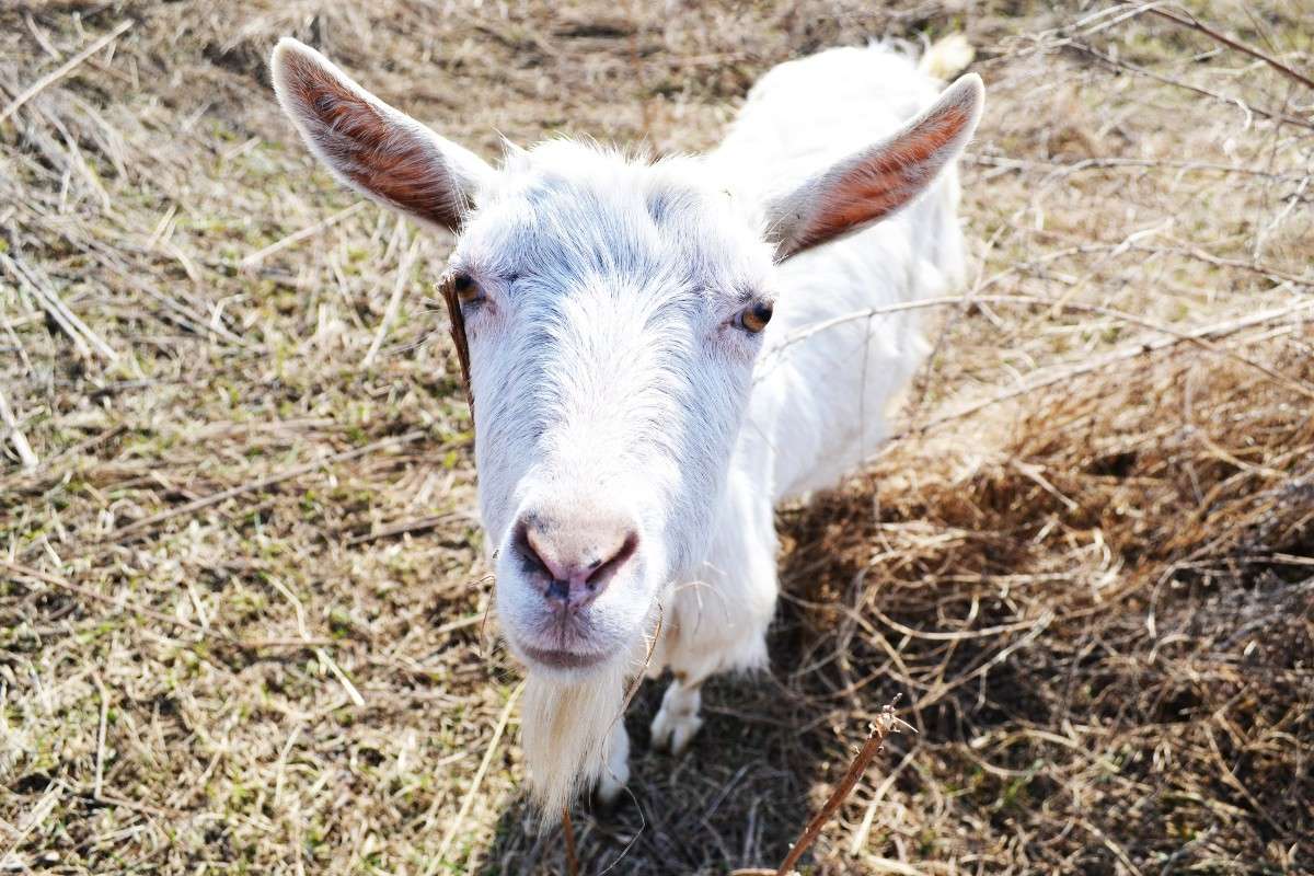 ������) ����� �����  �� PhotoGeek.ru #�������� ���