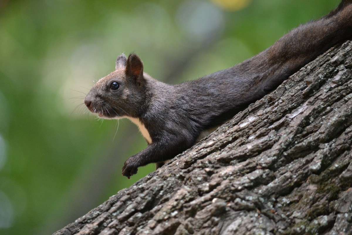 �����) ����� �����  �� PhotoGeek.ru #�������� ���