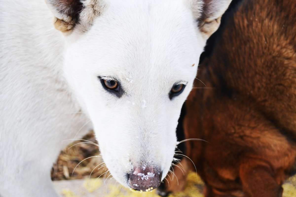 ... ����� �����  �� PhotoGeek.ru #�������� ��� #�������