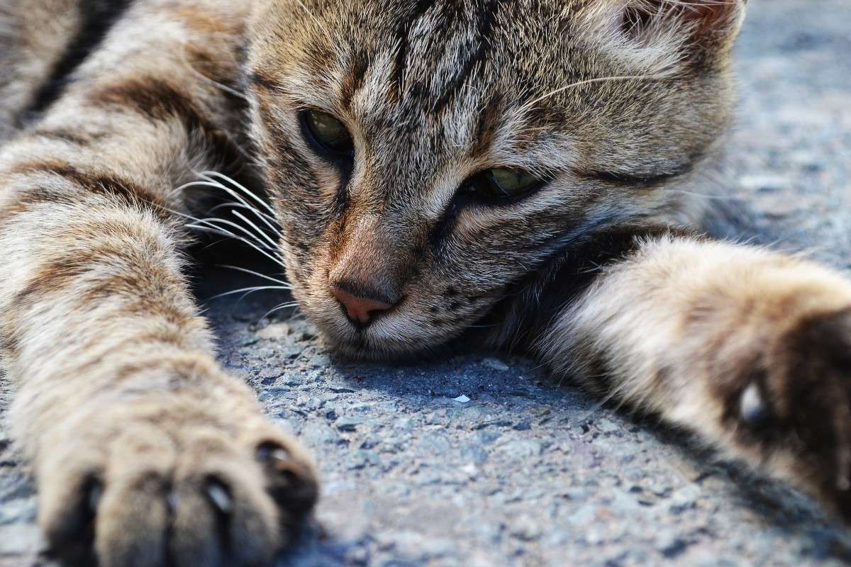 ... ����� �����  �� PhotoGeek.ru #�������� ���