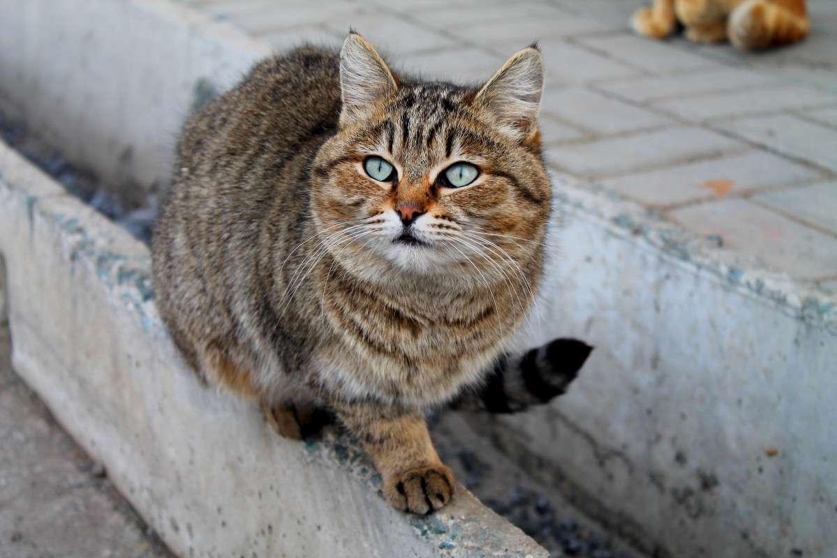 ... ����� �����  �� PhotoGeek.ru #�������� ���