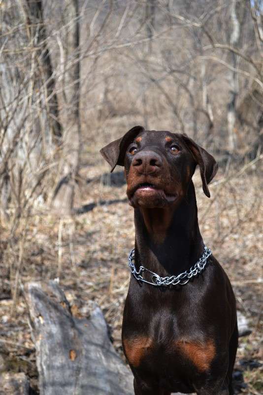 ... ����� �����  �� PhotoGeek.ru #�������� ���