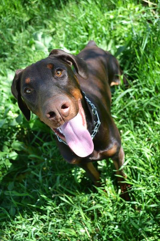 ... ����� �����  �� PhotoGeek.ru #�������� ���