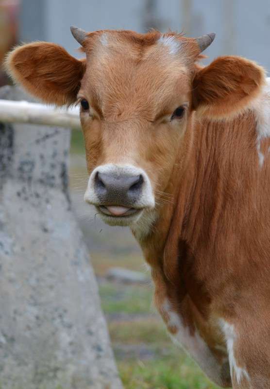 ... ����� �����  �� PhotoGeek.ru #�������� ���