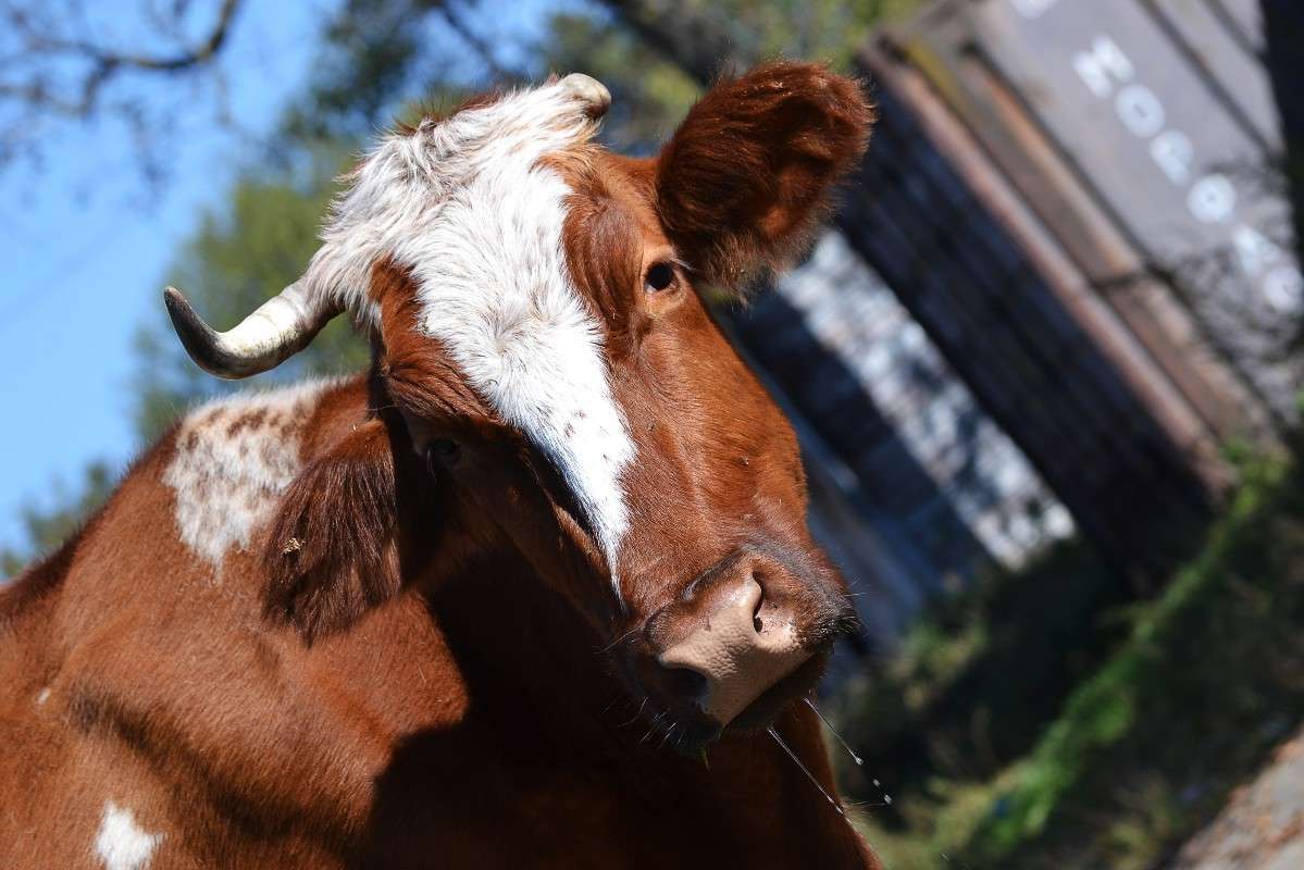 ... ����� �����  �� PhotoGeek.ru #�������� ���