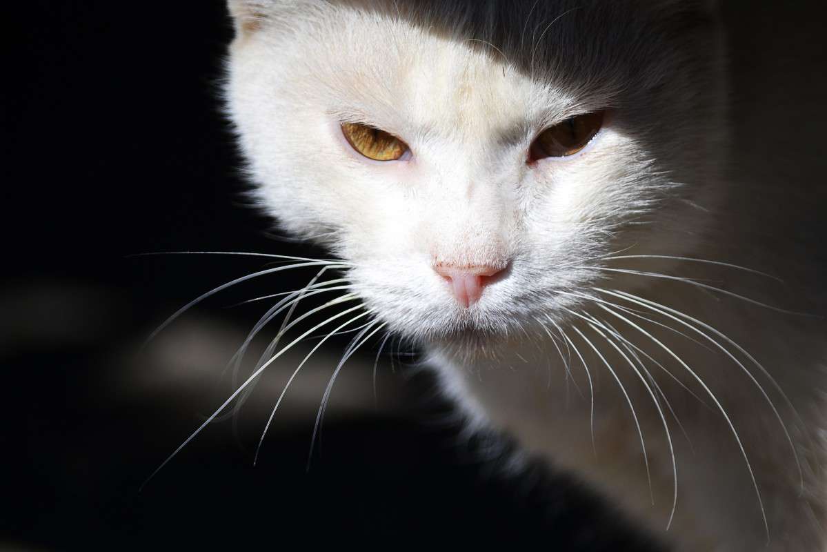 ��������.. ����� �����  �� PhotoGeek.ru #�������� ���