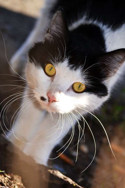 ������� ����� � ������� ������) ����� �����  �� PhotoGeek.ru #�������� ���