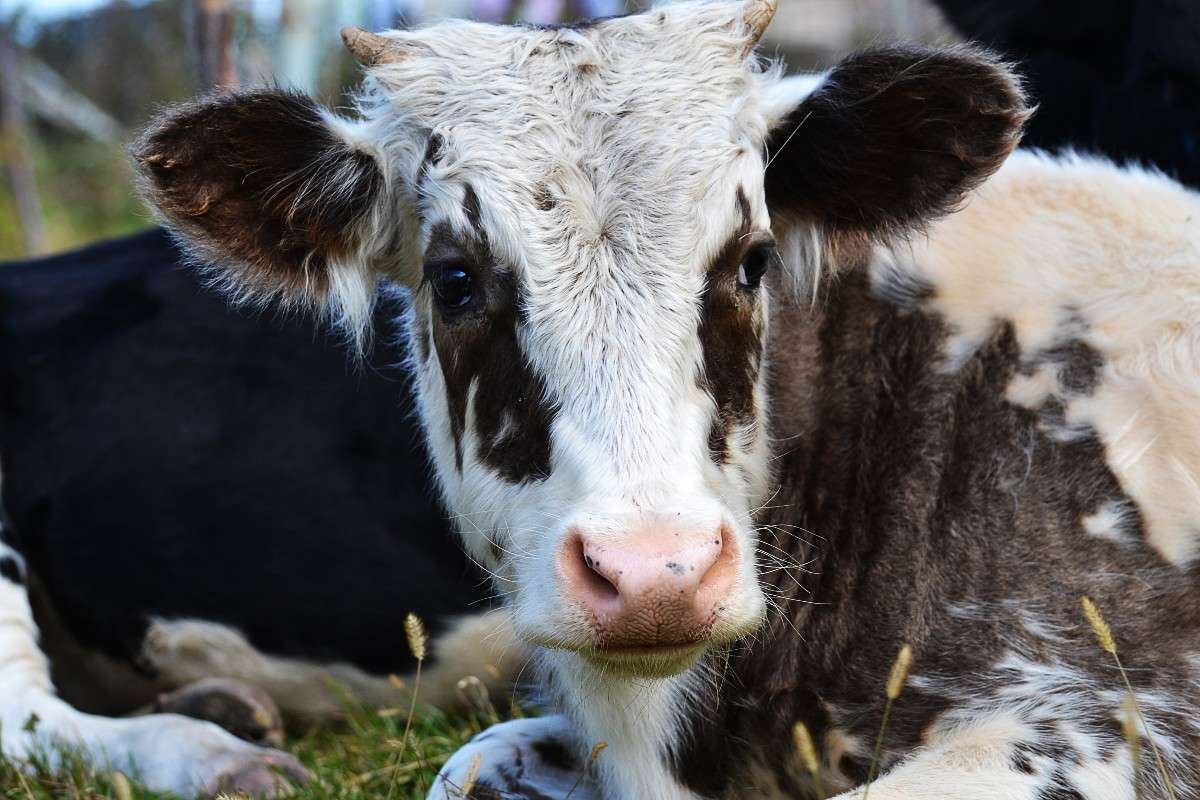 �������) ����� �����  �� PhotoGeek.ru #�������� ���