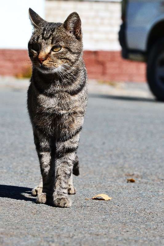 ����������) ����� �����  �� PhotoGeek.ru #�������� ���