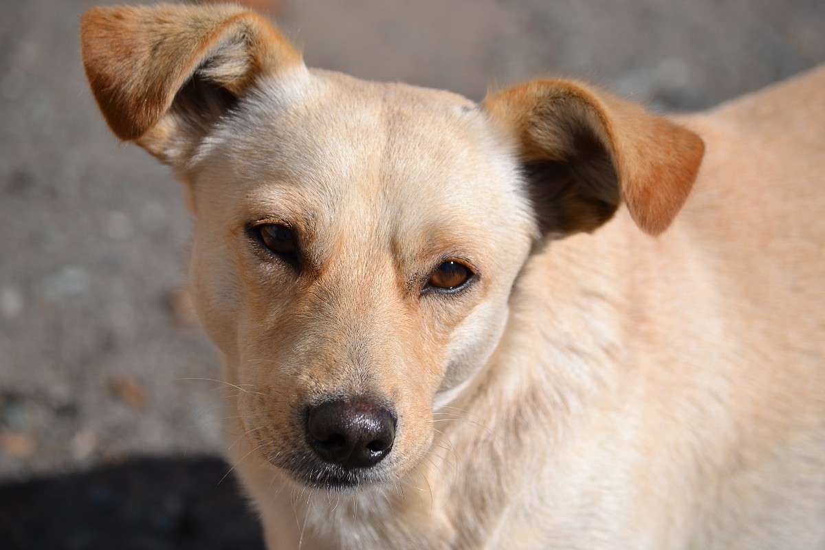 ... ����� �����  �� PhotoGeek.ru #�������� ���