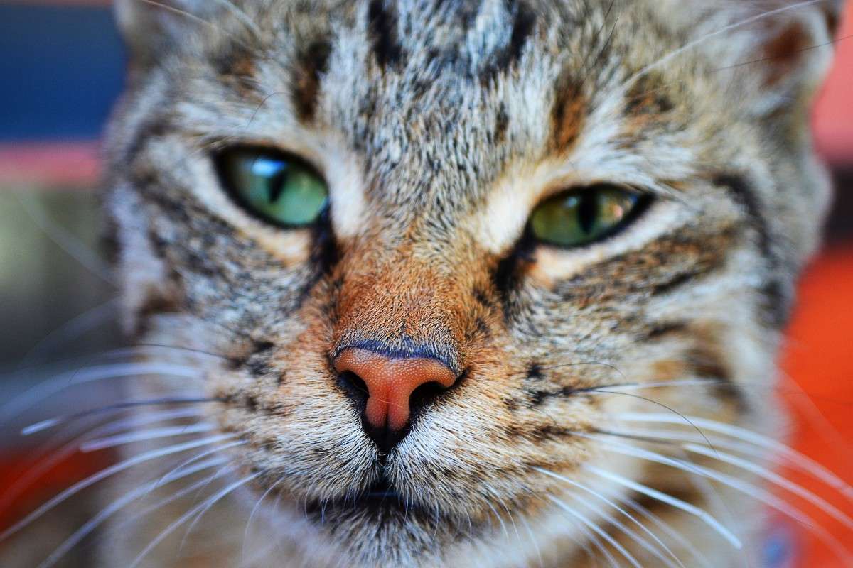 ... ����� �����  �� PhotoGeek.ru #�������� ���