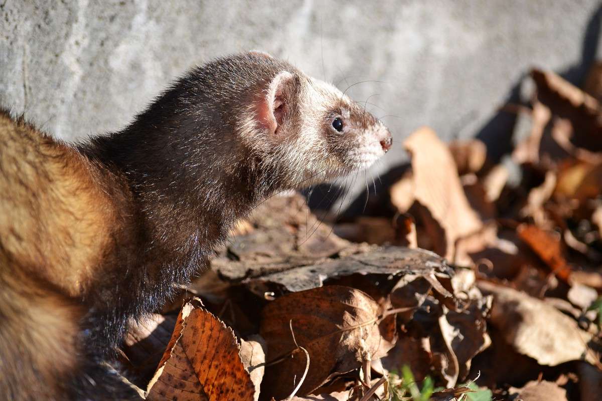 ����)) ����� �����  �� PhotoGeek.ru #�������� ���