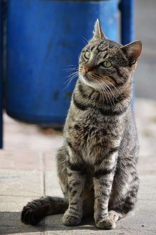 ... ����� �����  �� PhotoGeek.ru #�������� ���