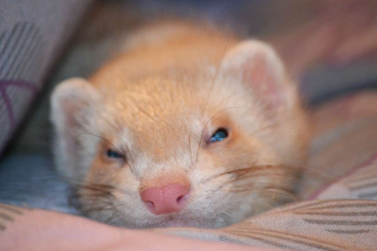 ��� ����  ^_^ ����� �����  �� PhotoGeek.ru #�������� ���