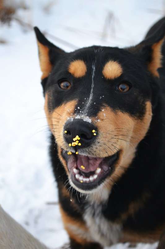 ... ����� �����  �� PhotoGeek.ru #�������� ���