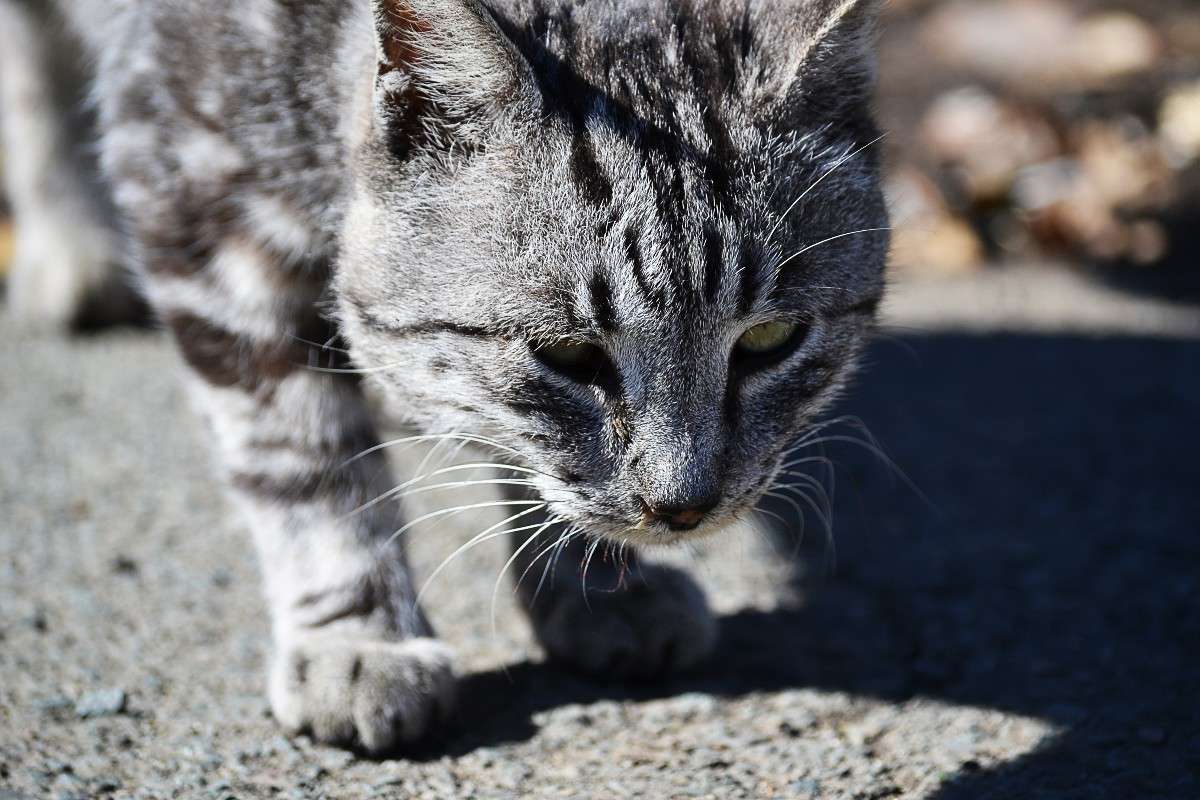 ... ����� �����  �� PhotoGeek.ru #�������� ���