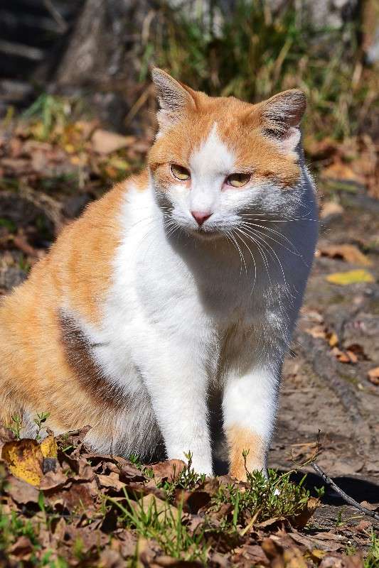 ... ����� �����  �� PhotoGeek.ru #�������� ���