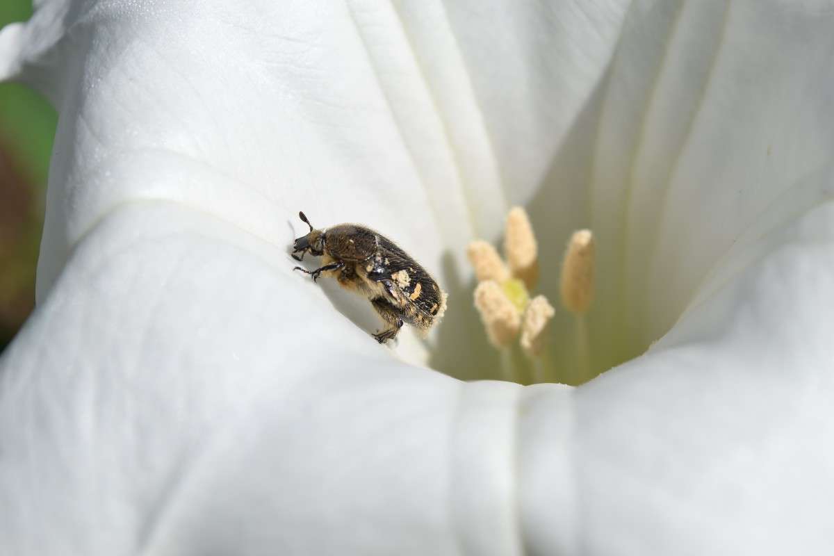 ... ����� �����  �� PhotoGeek.ru #�������� ���