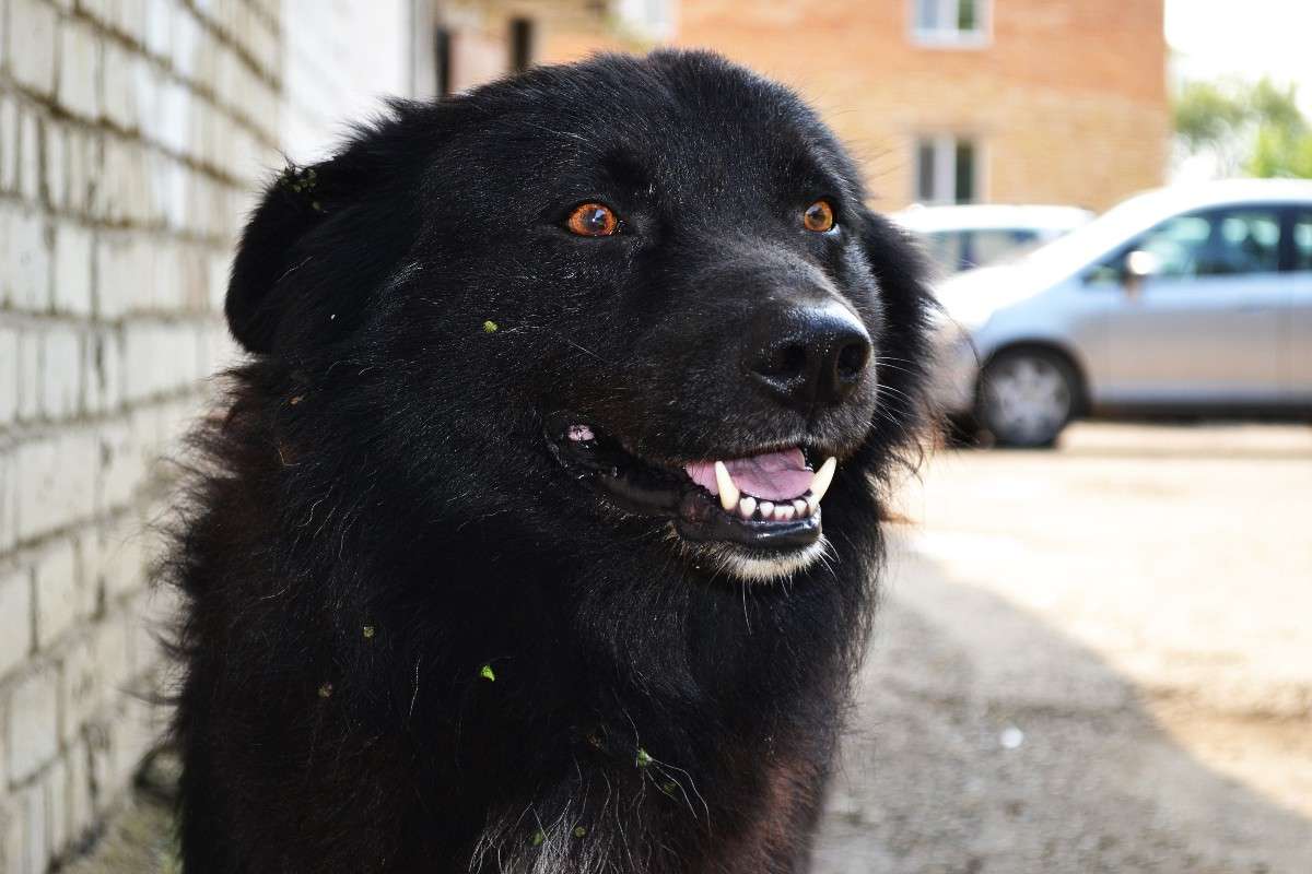 ������� ������) ����� �����  �� PhotoGeek.ru #�������� ���