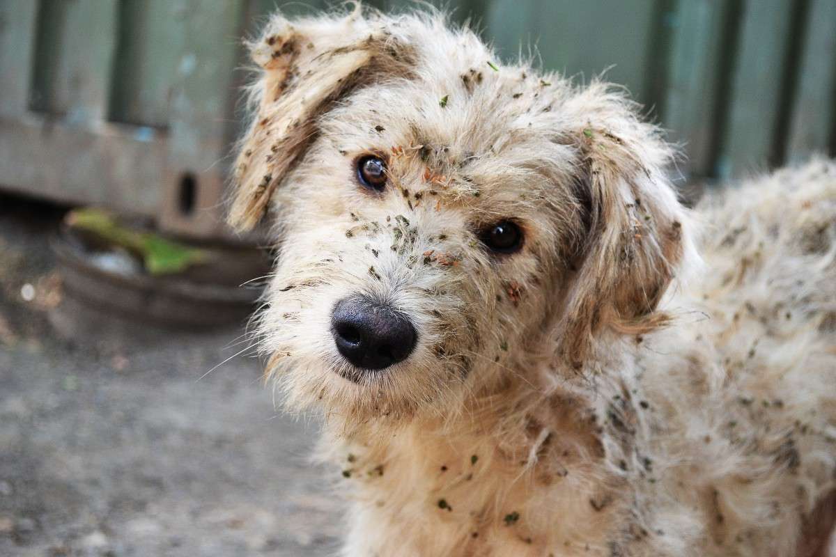 �������) ����� �����  �� PhotoGeek.ru #�������� ���