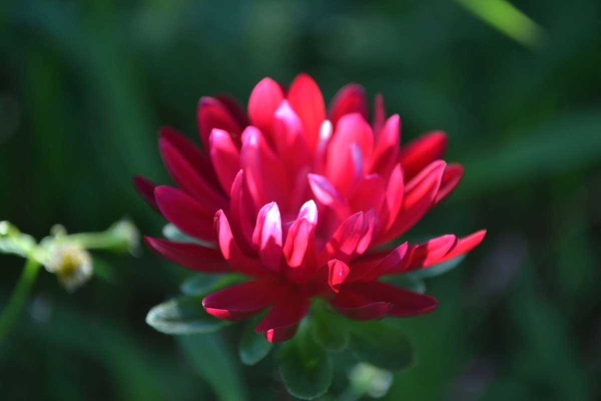 ... ����� �����  �� PhotoGeek.ru #������ ��� �������