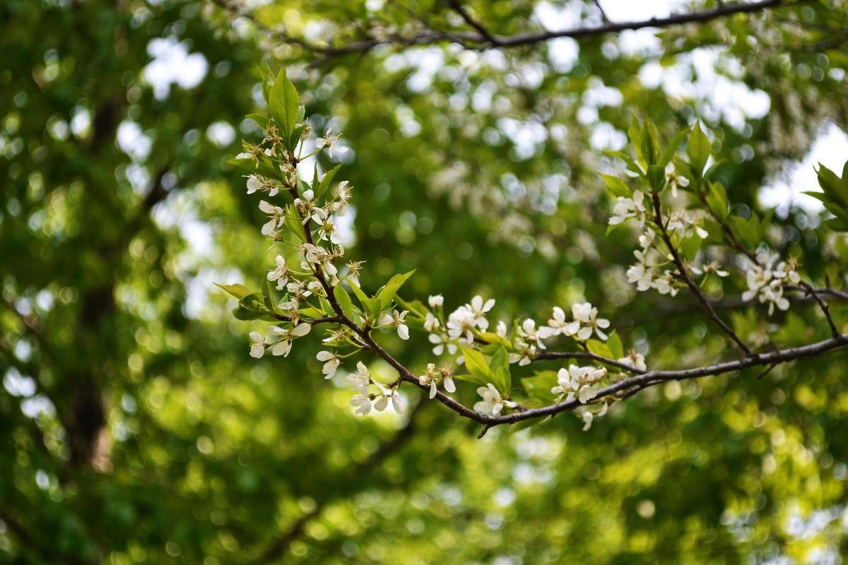 ... ����� �����  �� PhotoGeek.ru #������ ��� �������