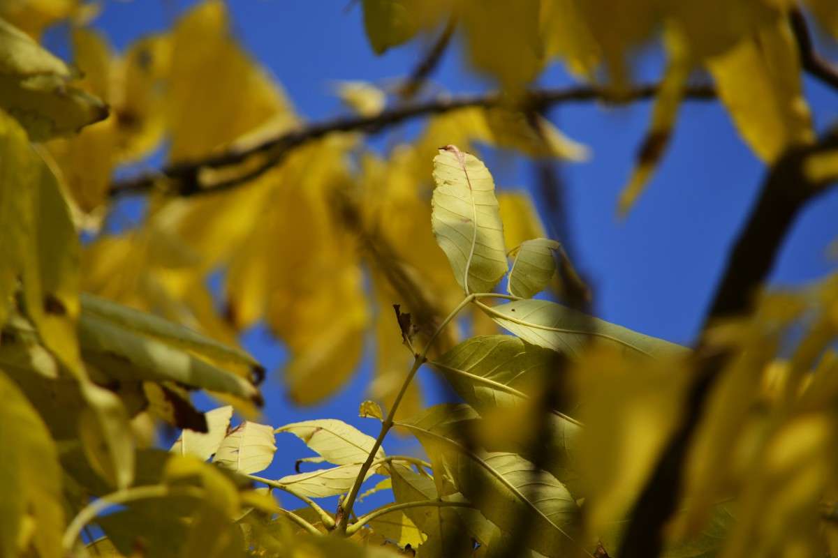 �����... ����� �����  �� PhotoGeek.ru #������ ��� �������