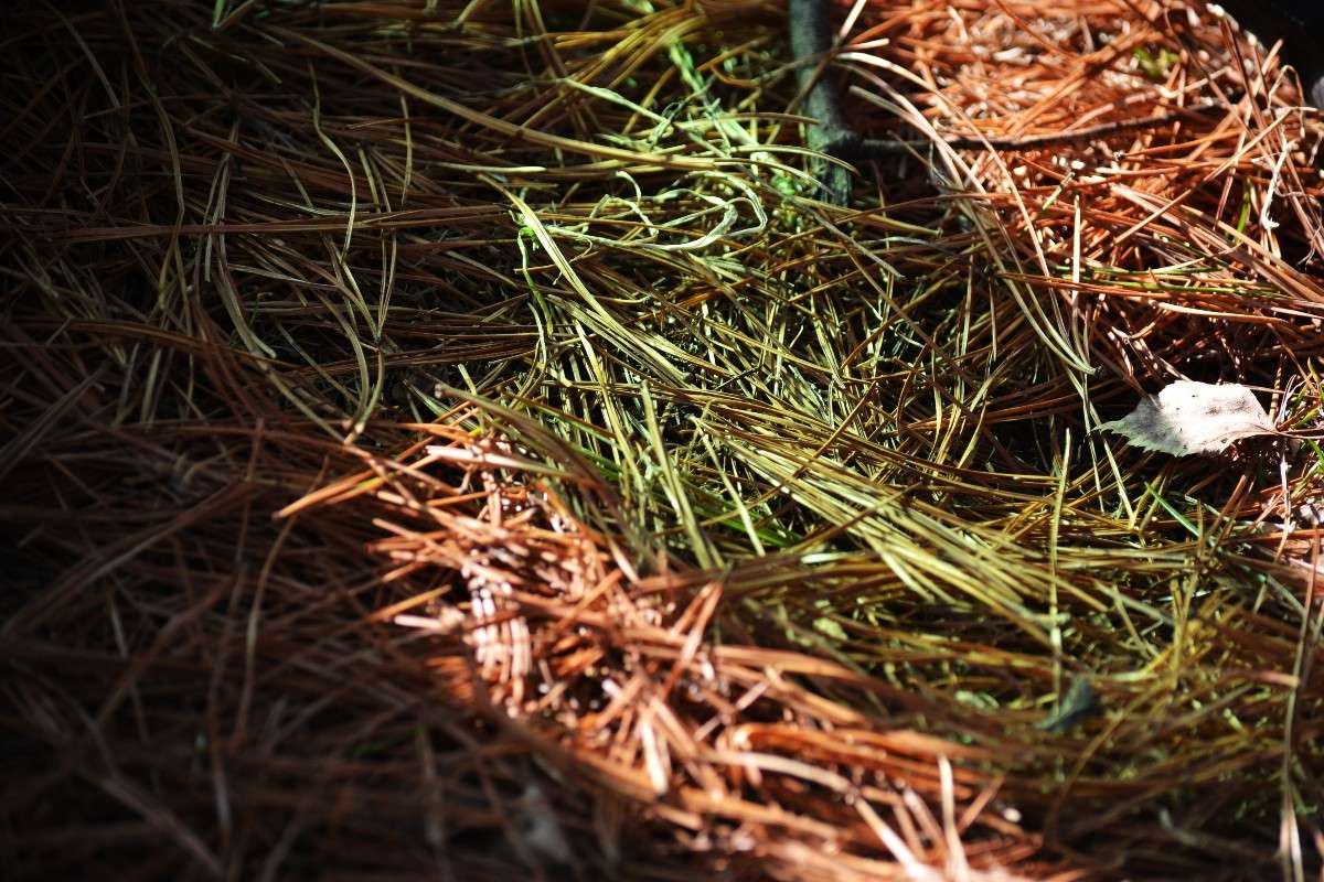 ... ����� �����  �� PhotoGeek.ru #������ ��� �������