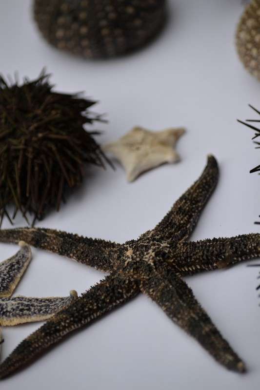 ... ����� �����  �� PhotoGeek.ru #�������� ���