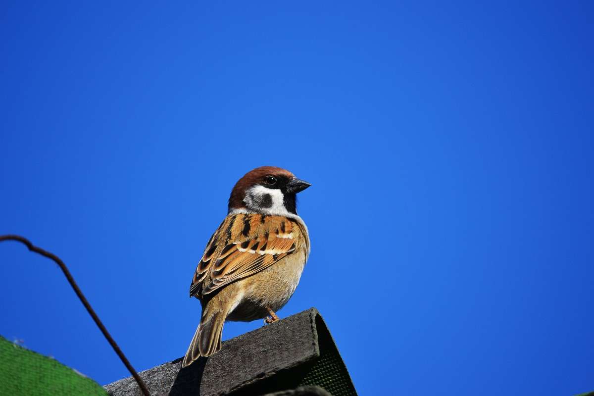 ... ����� �����  �� PhotoGeek.ru #�������� ���