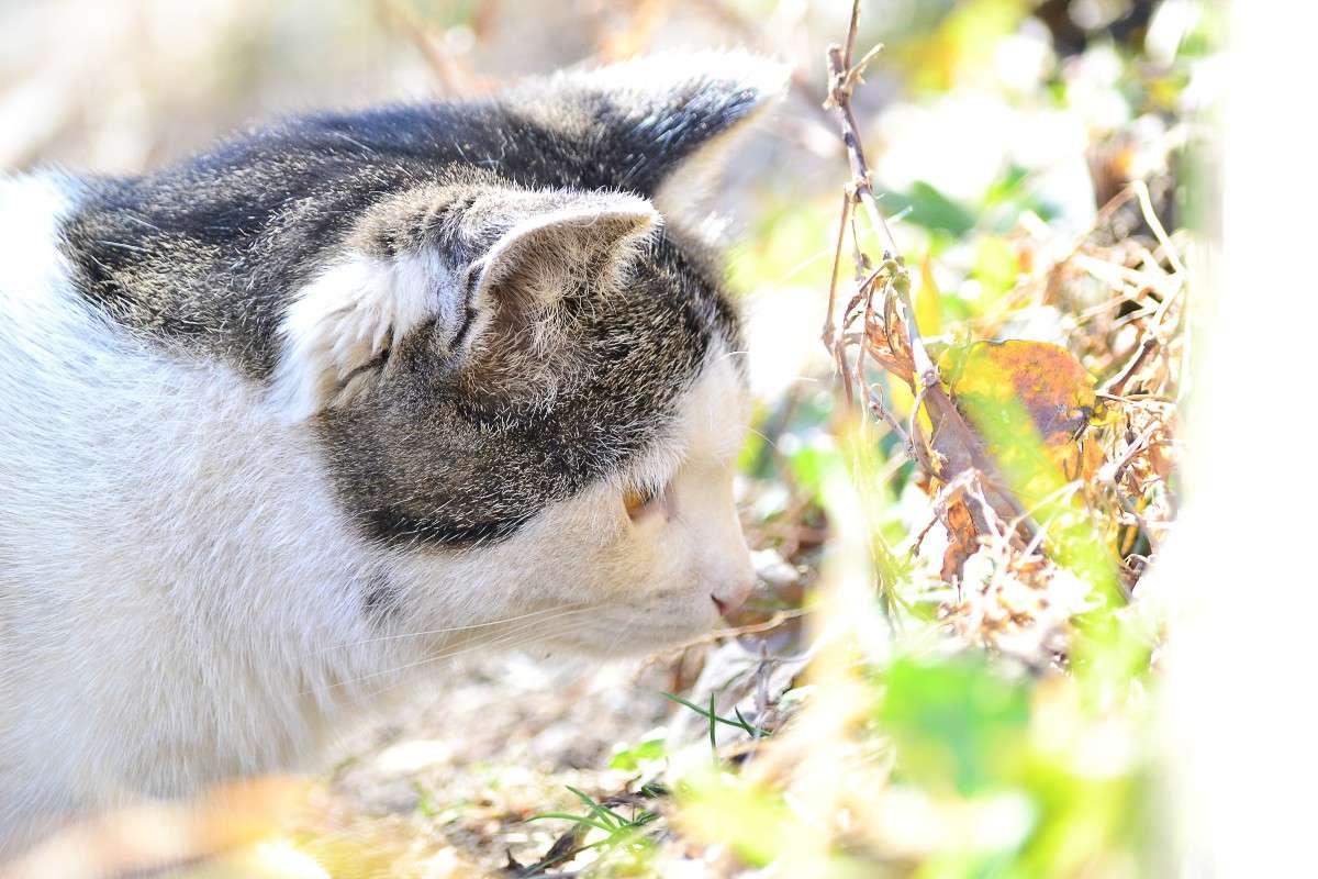 ... ����� �����  �� PhotoGeek.ru #�������� ���