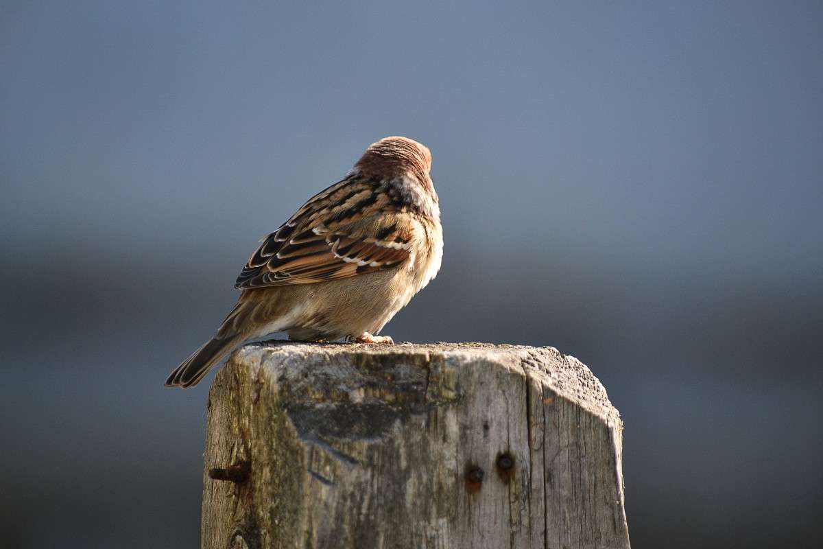 ... ����� �����  �� PhotoGeek.ru #�������� ���