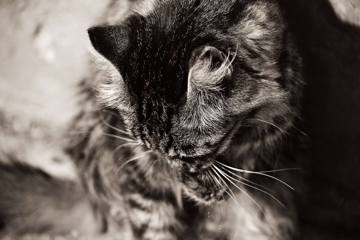 ... ����� �����  �� PhotoGeek.ru #�������� ��� #�����-�����