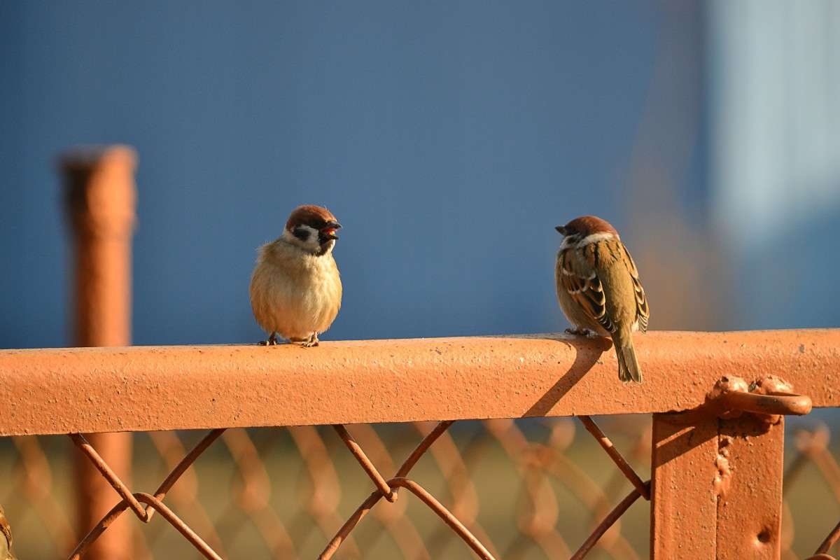 ... ����� �����  �� PhotoGeek.ru #�������� ���