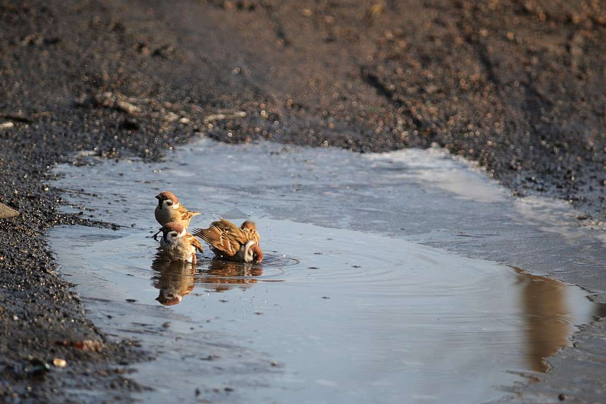 ... ����� �����  �� PhotoGeek.ru #�������� ���