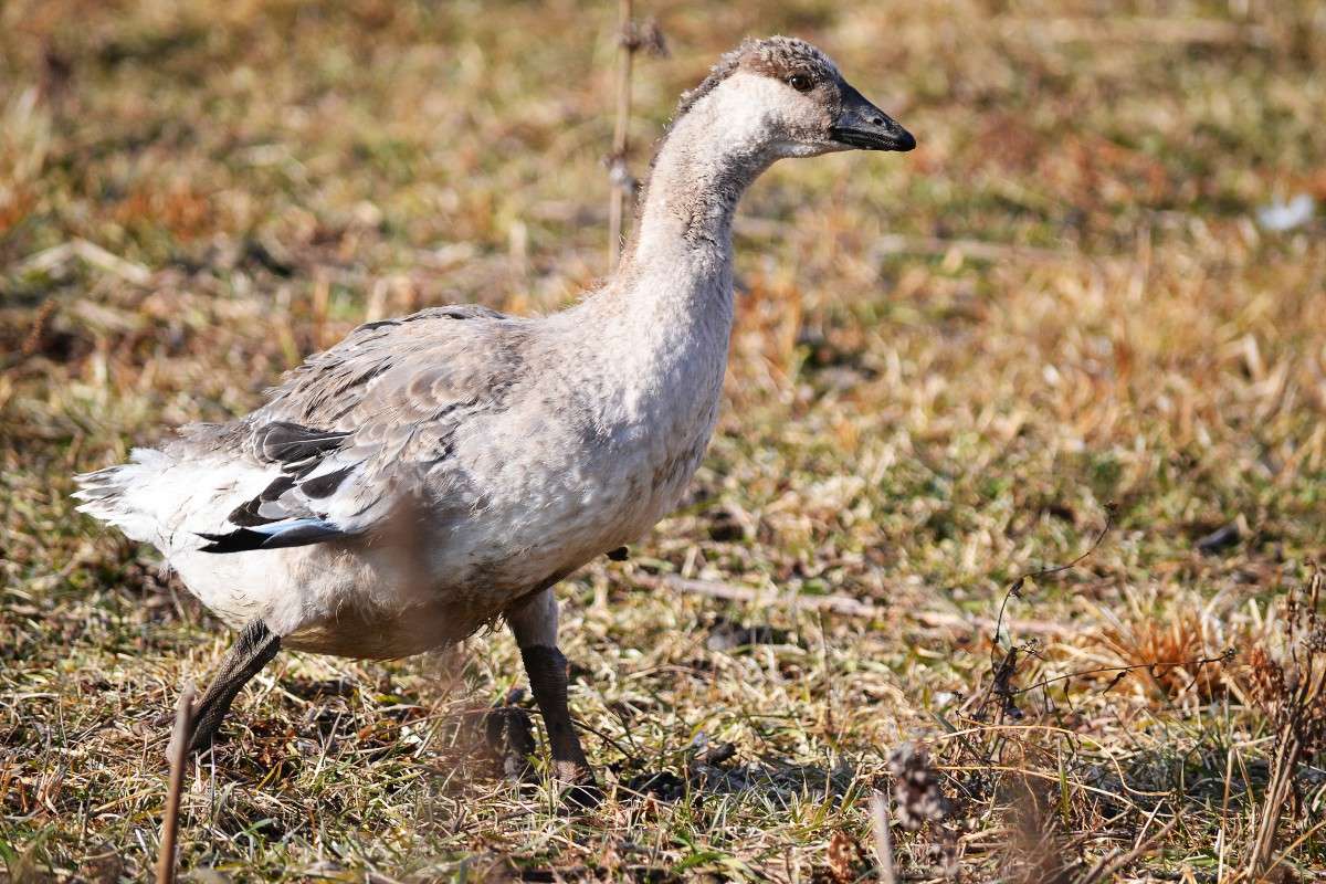 ... ����� �����  �� PhotoGeek.ru #�������� ���