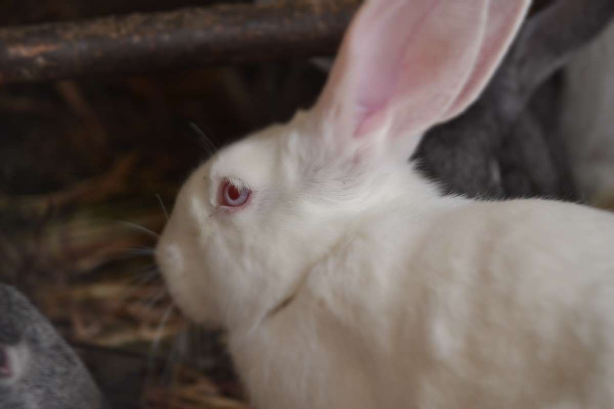 ... ����� �����  �� PhotoGeek.ru #�������� ���