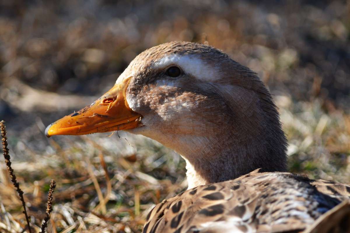 ... ����� �����  �� PhotoGeek.ru #�������� ���