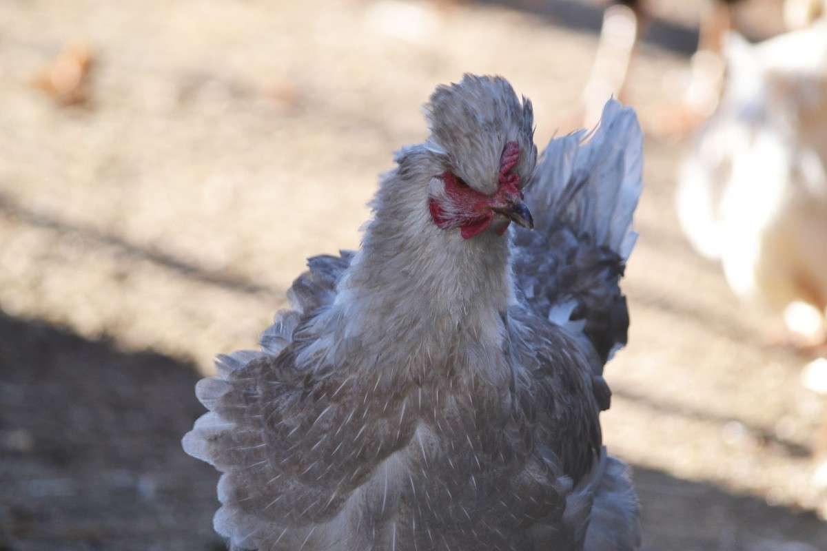 ... ����� �����  �� PhotoGeek.ru #�������� ���