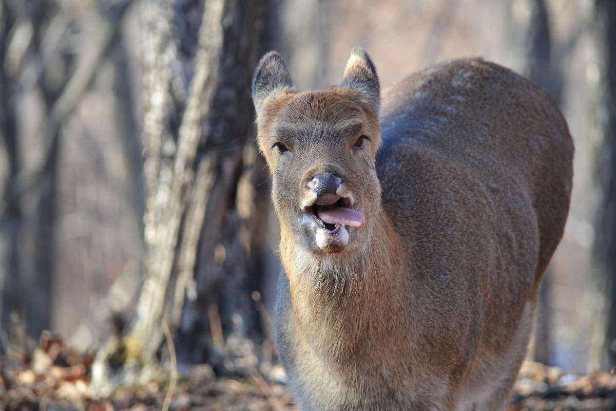 ... ����� �����  �� PhotoGeek.ru #�������� ���