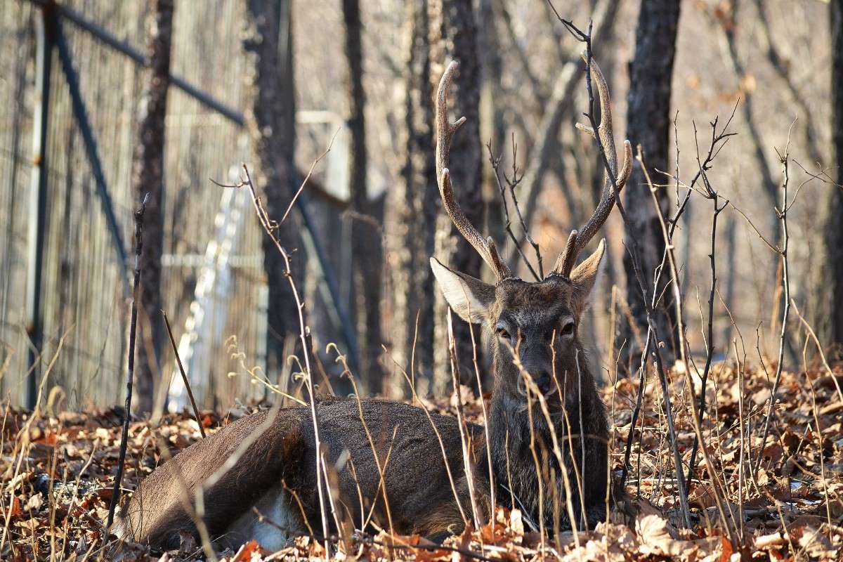 ... ����� �����  �� PhotoGeek.ru #�������� ���