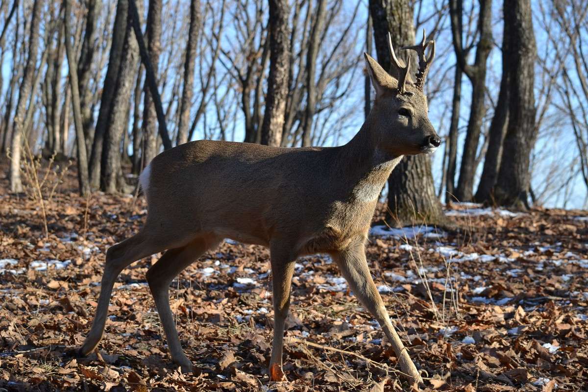 ... ����� �����  �� PhotoGeek.ru #�������� ���