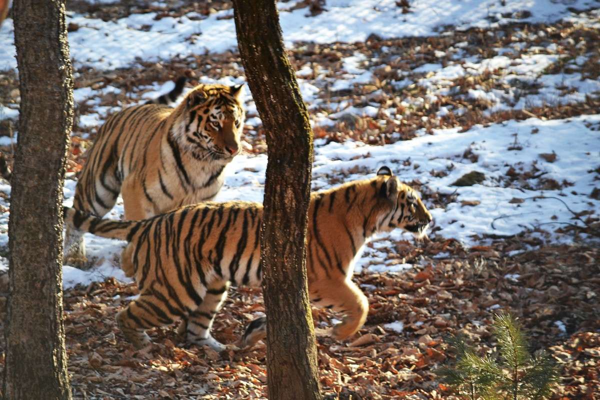 ... ����� �����  �� PhotoGeek.ru #�������� ���