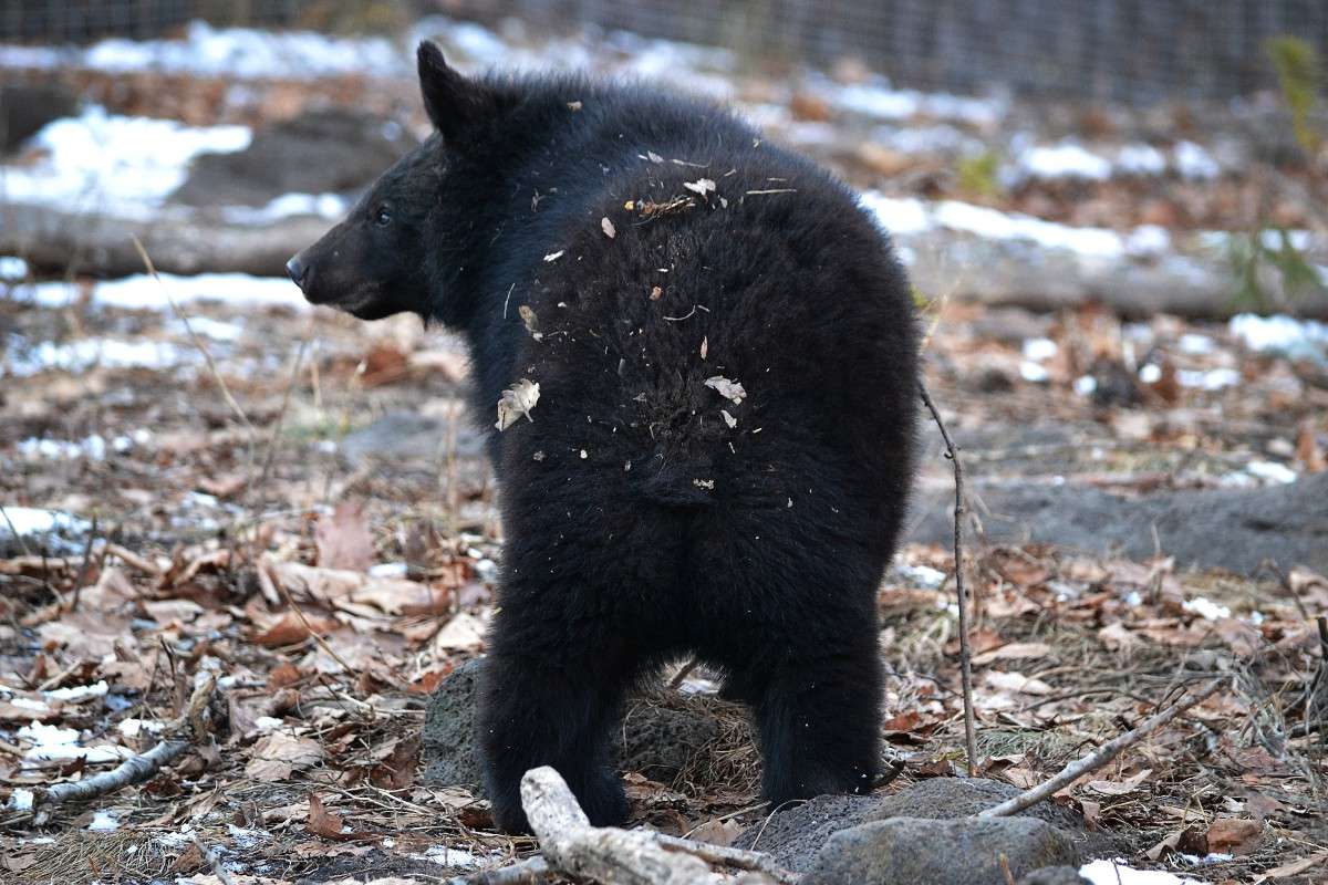 ����������� ������ ����� �����  �� PhotoGeek.ru #�������� ���